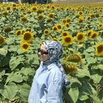 Aisha Ismail - @aisha_ismail19 - Instagram
