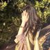 Aisha Hanif Kapadia - Facebook