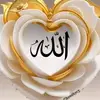 Aisha - @aaishaapage - TikTok