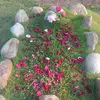 aisharyan81 - @aisharyan81.1 - TikTok