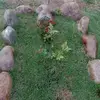 aisharyan81 - @aisharyan81 - TikTok