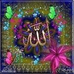 Aishah Muhammad - @aishah8131 - Instagram