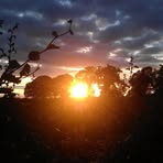 Aisling Fitzpatrick - Facebook