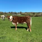 Aisling Gallagher - @gallagher.aisling - Instagram