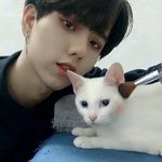 Ai Vy Vo - @aivy.vo.7545 - Instagram
