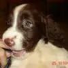 Aixa Rivera690 - @aixarivera690 - TikTok