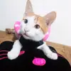❣️❣️AJAshleyCTLdaddy❣️💏 - @ajashleyctldaddypitothmm - TikTok