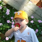 Aj - @ajbonner13 - Instagram