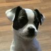 AJ_Booth27 - @aj_booth27 - TikTok