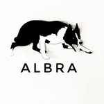 Albra / AJ Braun - @simply_albra - Instagram