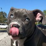 Aj Brewer - @aj.brewer.792 - Instagram