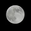 ajbrewer48yahoocom - @greenwitch60rn - TikTok