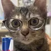 user1565462604404 - @ajcabanas - TikTok