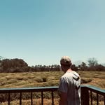 AJ CALITZ - @aj_calitz - Instagram