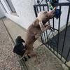 Aj Clarke - @aj.clarke868 - TikTok
