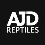 AJ Davidson - @ajdreptiles - Instagram