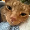 aj - @ajdooley4 - TikTok