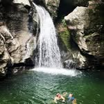 AJ Ellis - @andrewjellis17 - Instagram