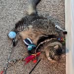 aj._.farmer - @aj._.farmer - Instagram
