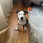 Aj Farmer - @ajfarmer_ - Instagram