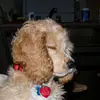 Aj Farmer - @aj.farmer6 - TikTok