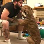 Aj Fitzgerald - @ajfitzgerald95 - Instagram