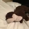 Aj Frederick - @ajfrederick1 - TikTok