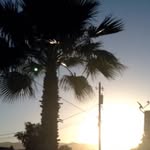 Aj Great Page 2 - @aj.great.page.2 - Instagram
