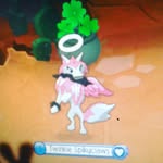 aj.great giveaways - @aj.lover_great_giveaways - Instagram