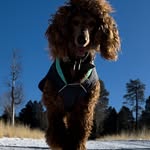 AJ Gregg - @a.j._gregg - Instagram