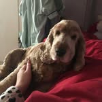 Alan Gregg - @ajgregg1 - Instagram