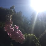 AJ Grover - @ajgrover26 - Instagram