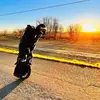 AJ Groves - @ripcityeuc - TikTok