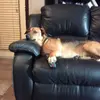 Aj_gunn - @aj_gunn29 - TikTok