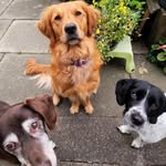 AJ - @aj_hagerty - Instagram