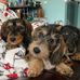 AJ Hahn - Facebook
