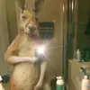 SJaime - @ajhaikho - TikTok