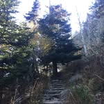Aj & Haley - @colour_nature_18 - Instagram