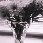 AJ - @ajhaley1448 - Instagram