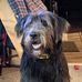 AJ Hamilton - Facebook