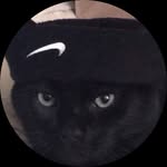AJ Hamm - @thehammkid - Instagram
