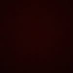 AJ Hamm - @thehammcat - Instagram