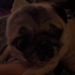 AJ - @ajhampton2 - Instagram