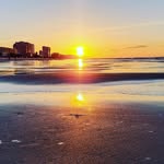 AJ Haney - @aj.haney.77 - Instagram