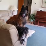 AJ Hanson - @ajhanson896 - Instagram