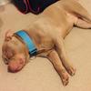 ajhardy - @ajhardy932 - TikTok
