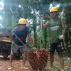 @dou ma cowa123 - @ajharocan - TikTok