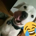 @aj_hartman1 - Instagram
