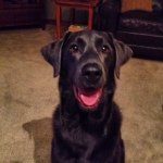 Aj Hawk - @ajhawk__ - Instagram