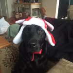 Austin Healy - @ajhealy33 - Instagram